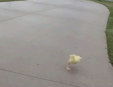 393_304gif 动态图 动图