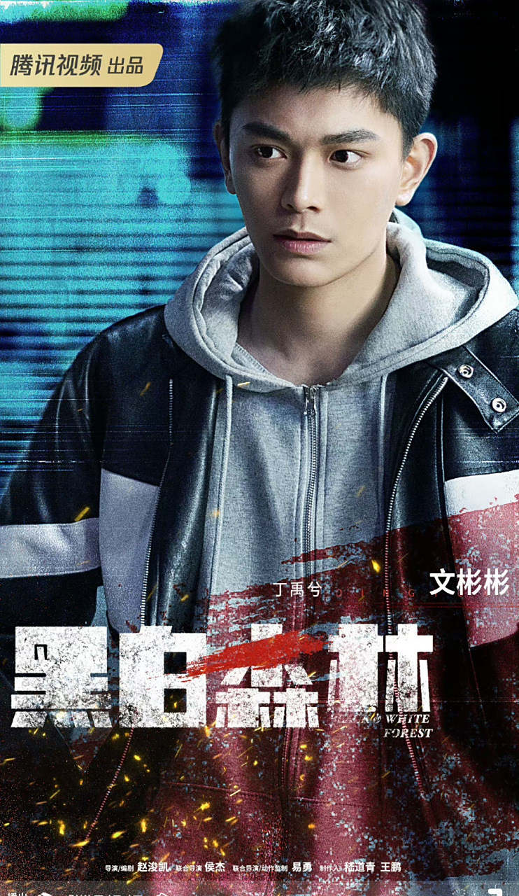 《黑白森林》官宣,剧情紧张,迷局重重,丁禹兮,宁理,韩雪邀你入局.