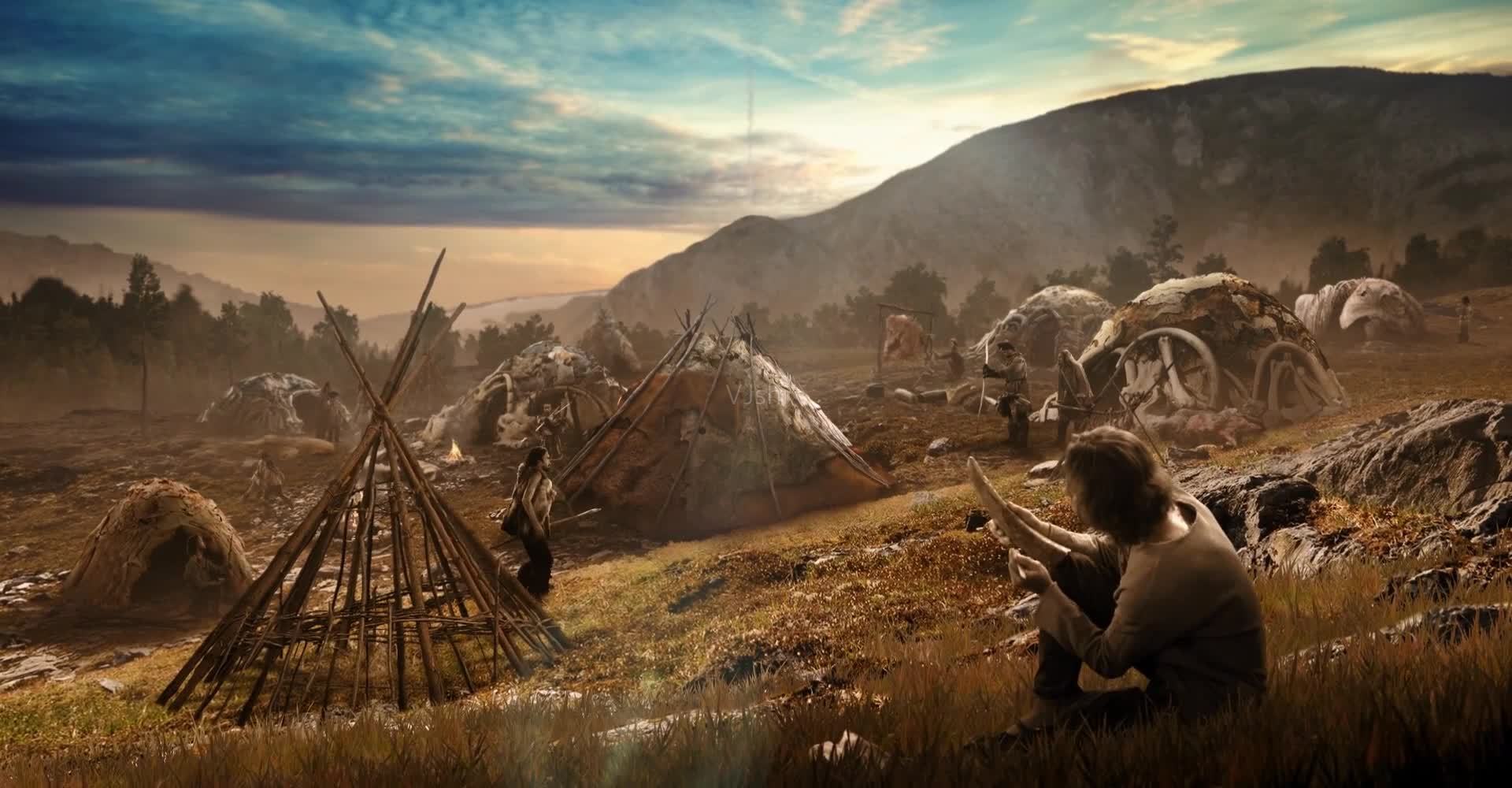 为什么人类都喜欢夜蒲?