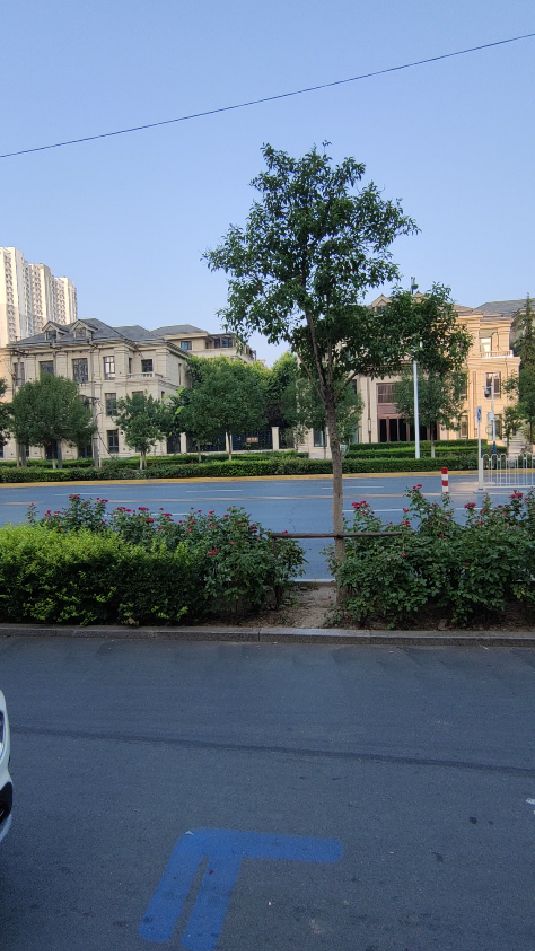 实拍邯郸最贵小区之一御赵金台小区别墅区