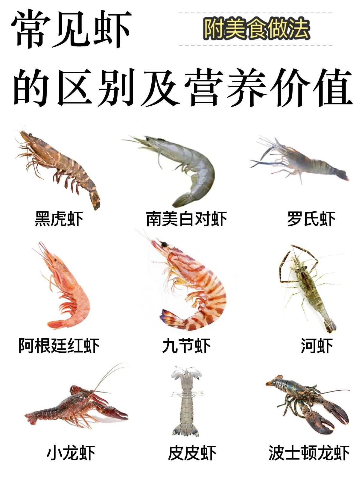 常见虾,区别营养价值及做法 一看就懂,关于虾虾来了解一下