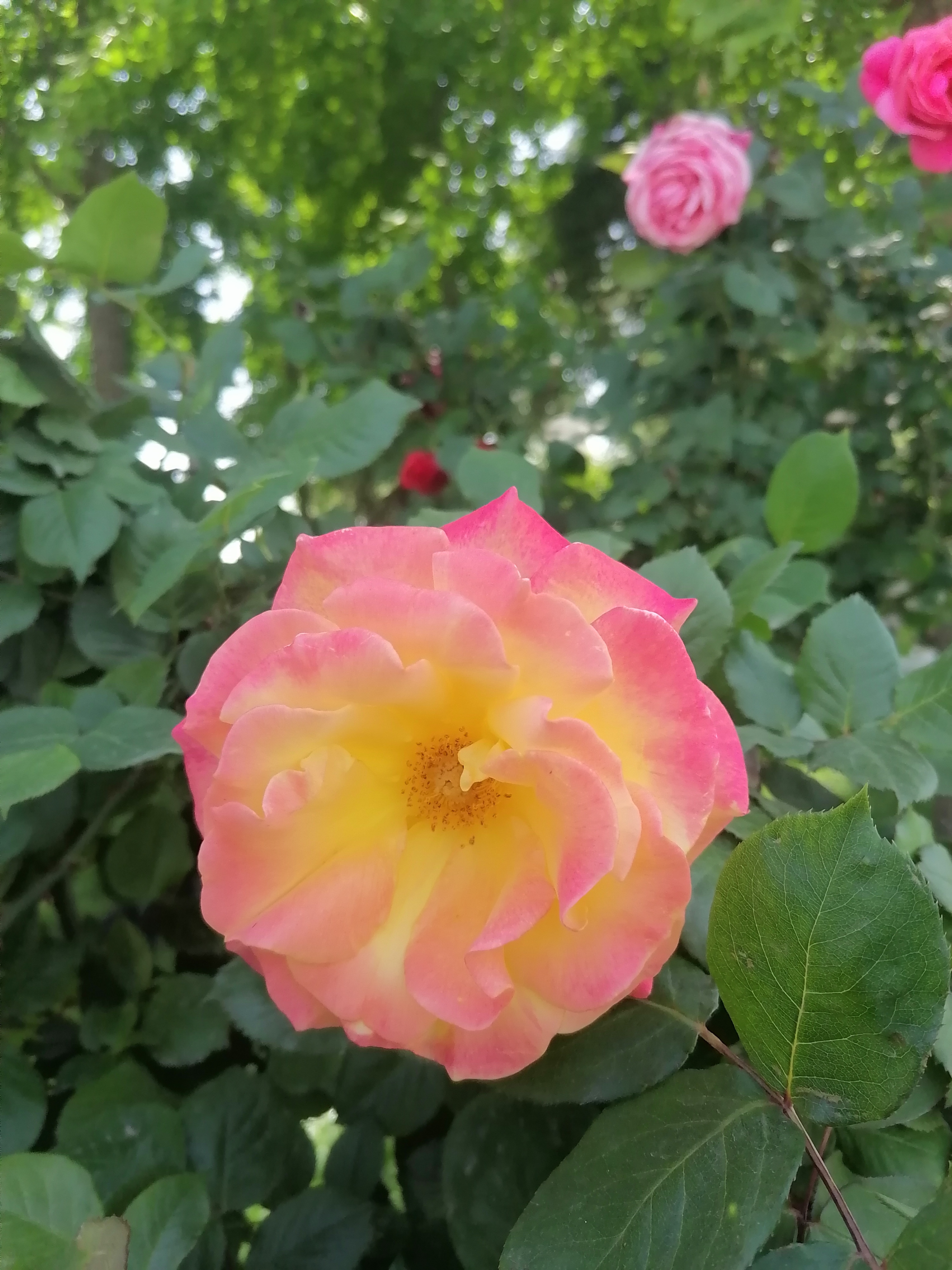 手表维修行业一干就是15年