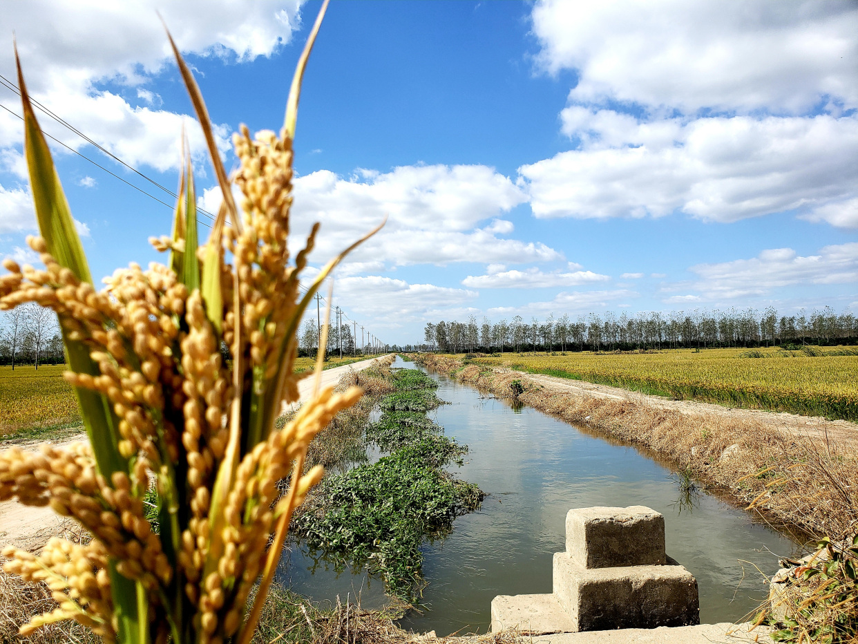 子午河·大堆-方强农场