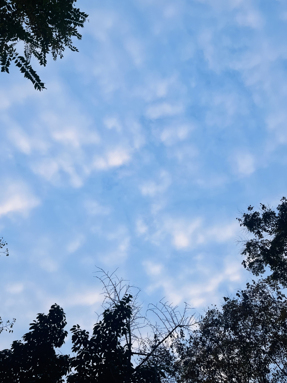 今日湛蓝的天空.