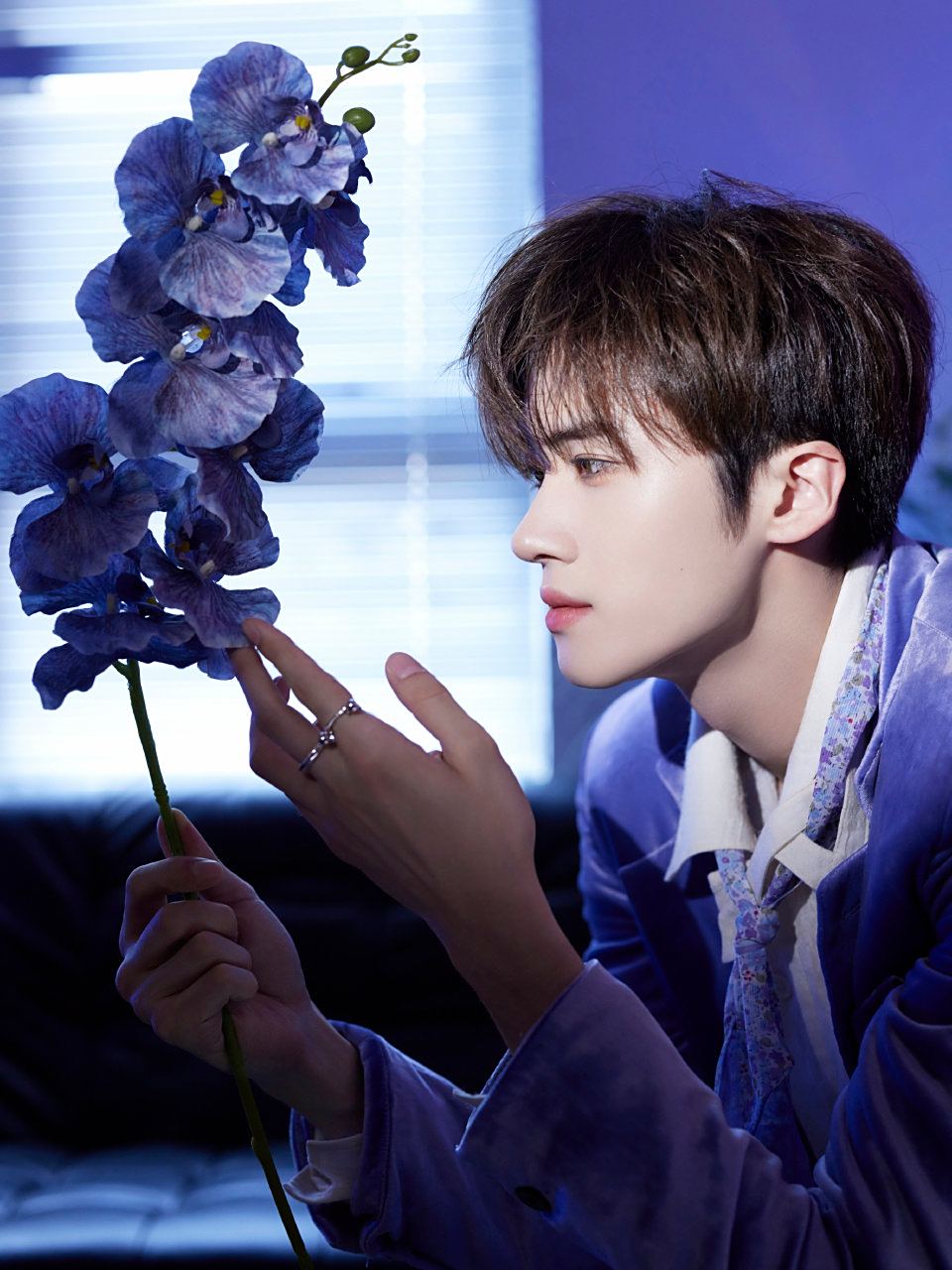 闫桉这颜值配上葡萄紫的西服,有一种莫名的美感,瞬间路转粉#娱乐明星