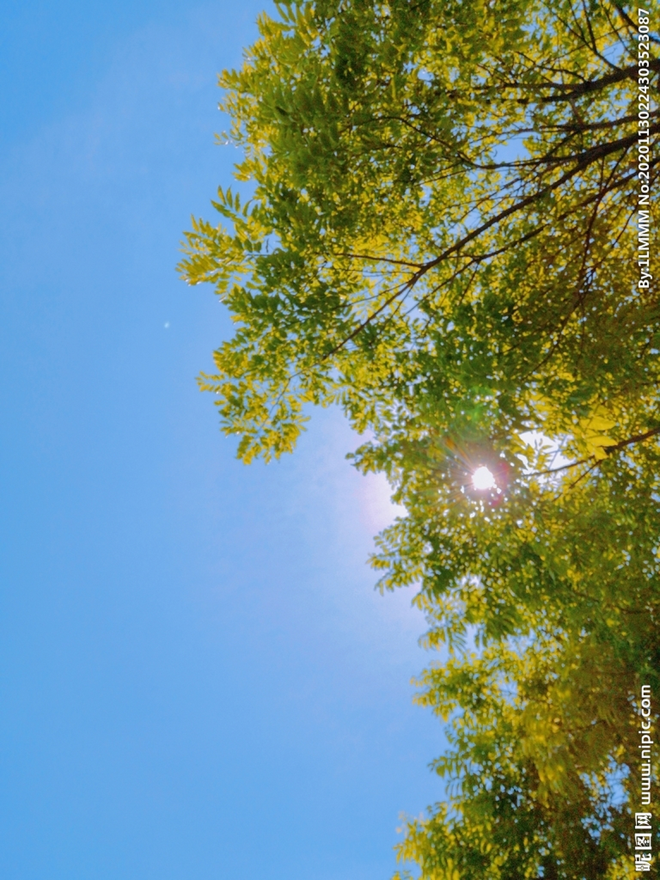 广州的太阳终于出来了,几乎持续了半个月白昼如夜的阴雨天气,广州人都