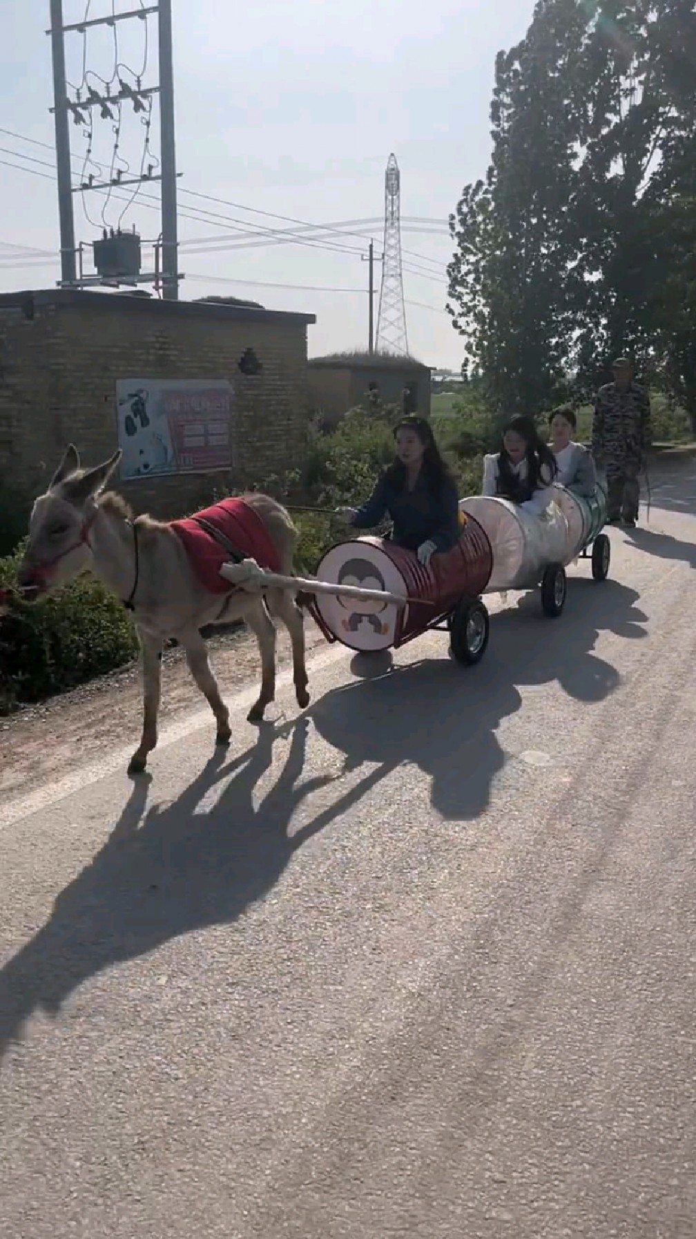 毛驢拉車,毛驢太有勁啦