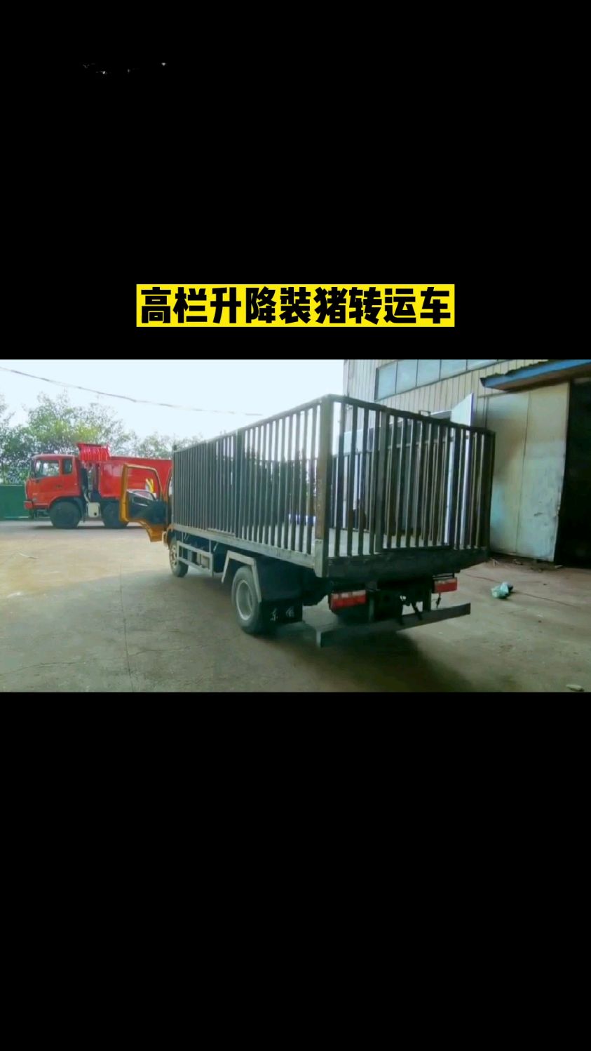高栏升降拉猪车#升降平台 #拉猪升降车 #升降车 #拉猪转运车 #养猪场