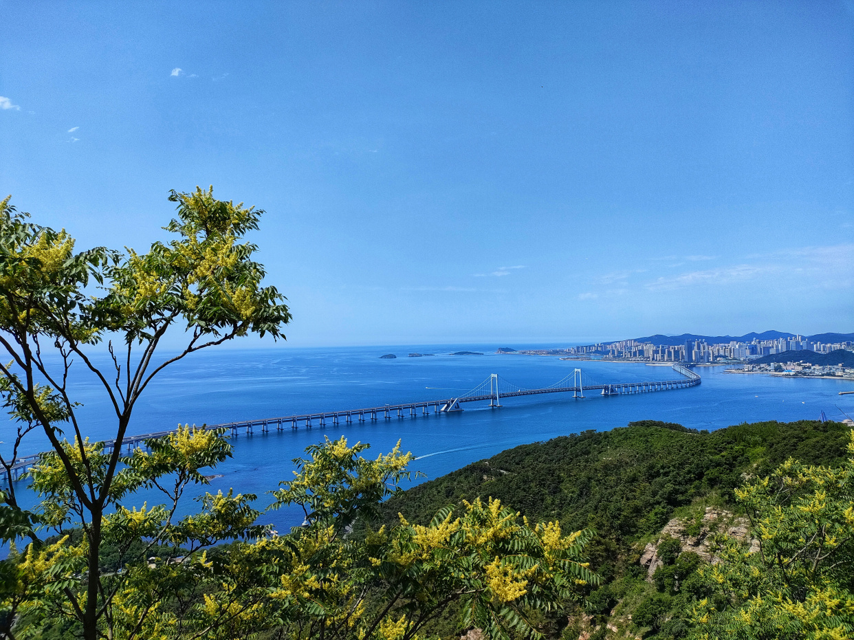莲花山观景台视野太好了