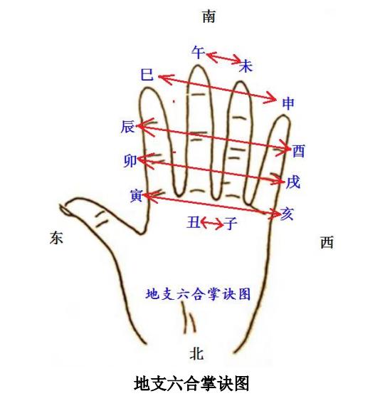 趣谈十二生肖六合 1 为什么鼠和牛合?