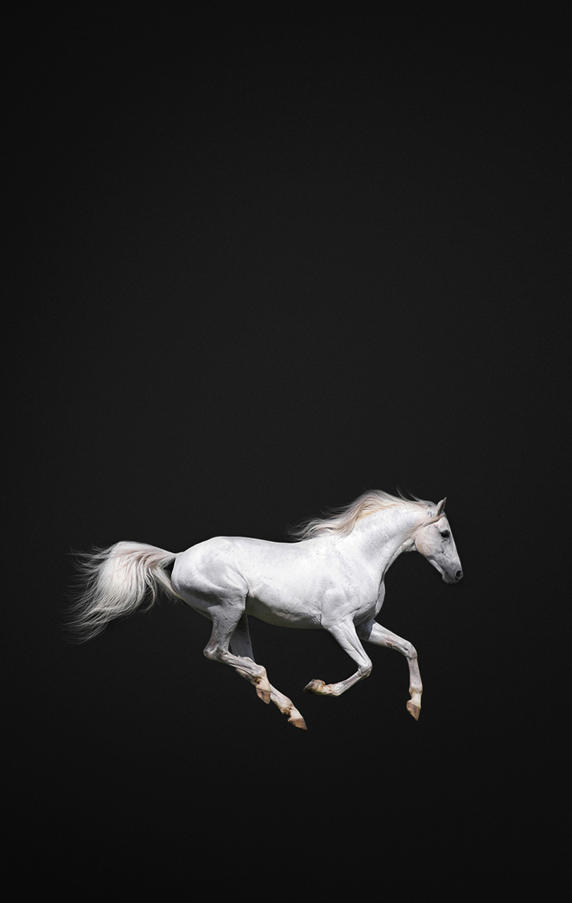 盲人骑瞎马,夜半临深池