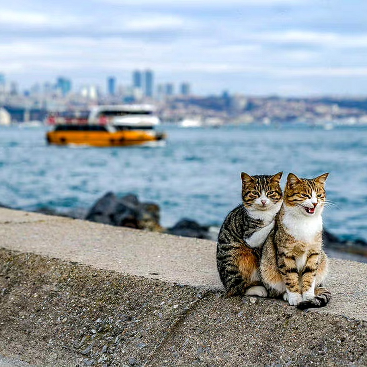 相互依偎的时刻