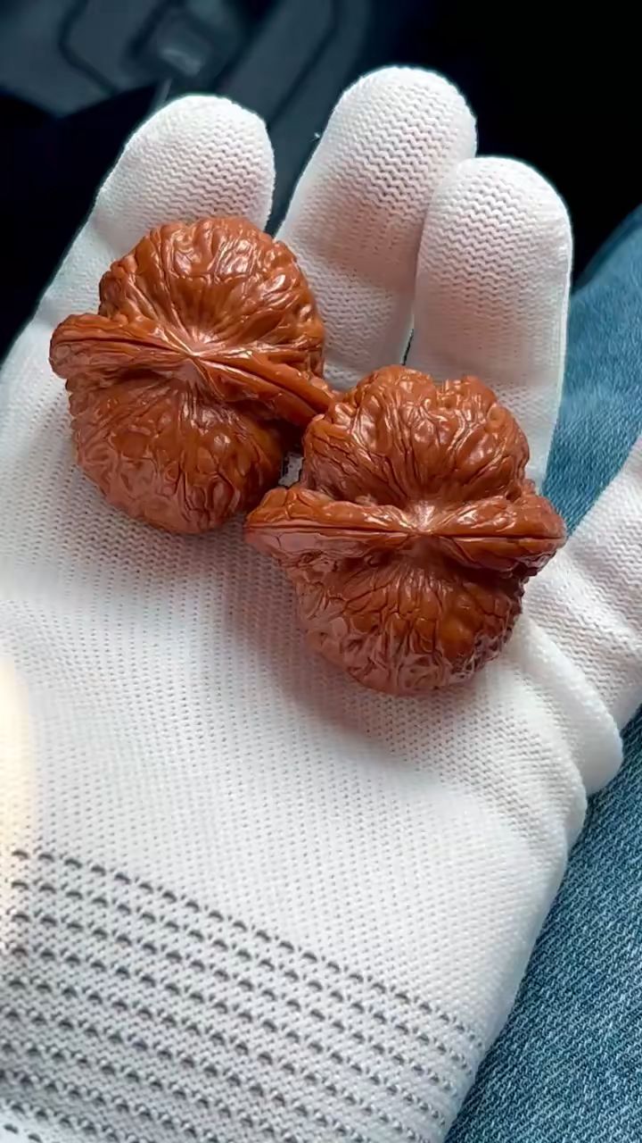 核友盘玩三个多月的平谷元宝狮子头.-度小视