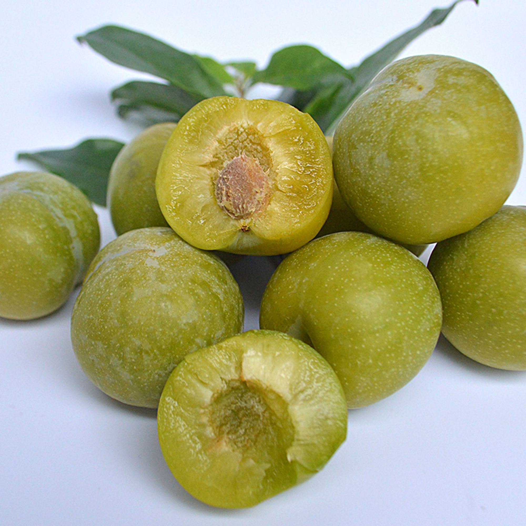 "春风十里不如李",正宗六马蜂糖李你吃过吗?