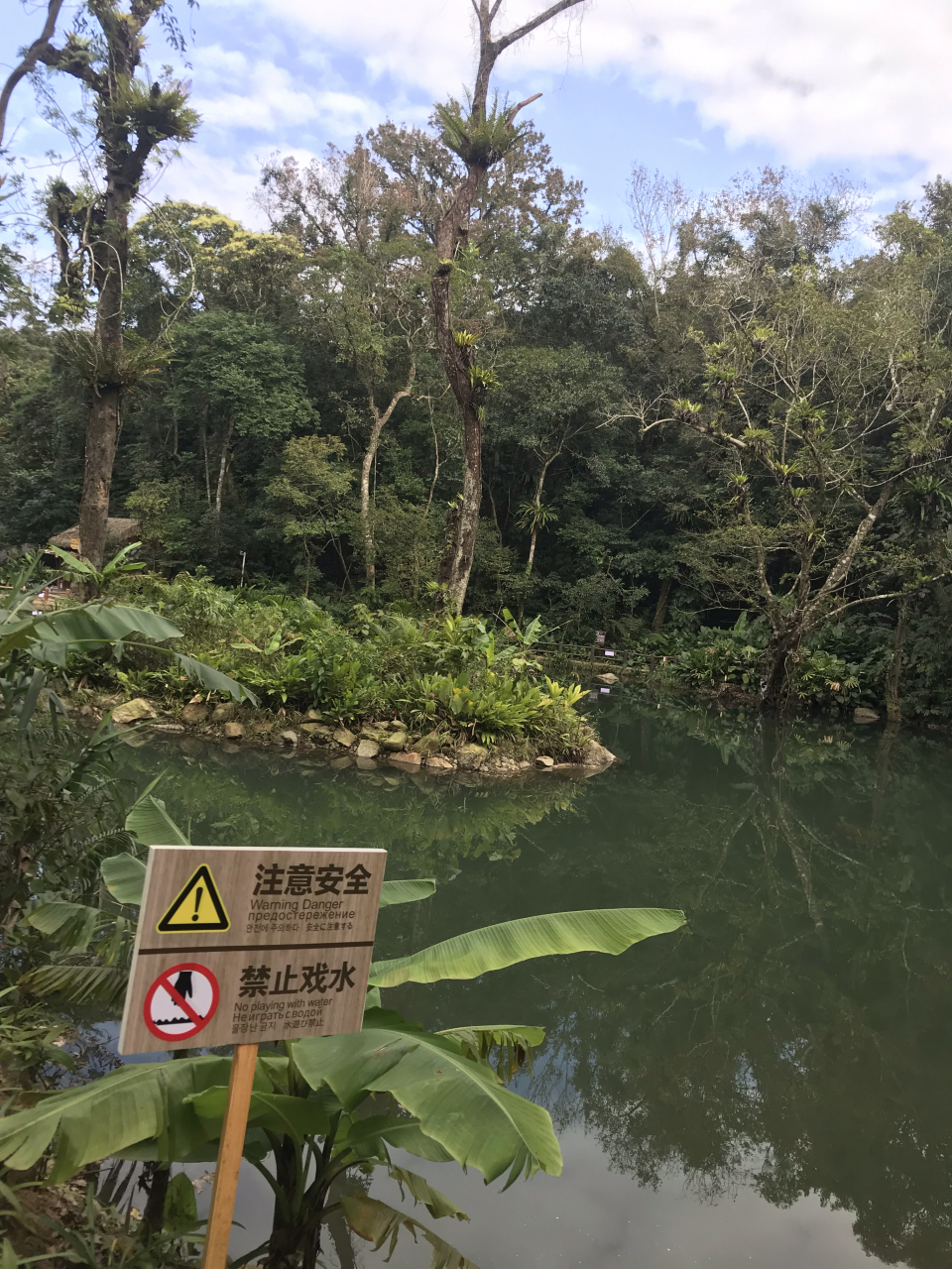 海南百花岭百花天池图片