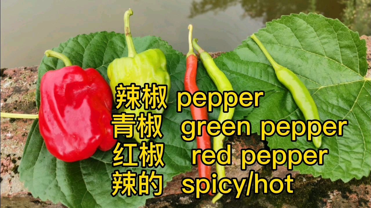微辣、中辣和特辣用英语怎么说?看菜地3种辣椒,学单词和短语