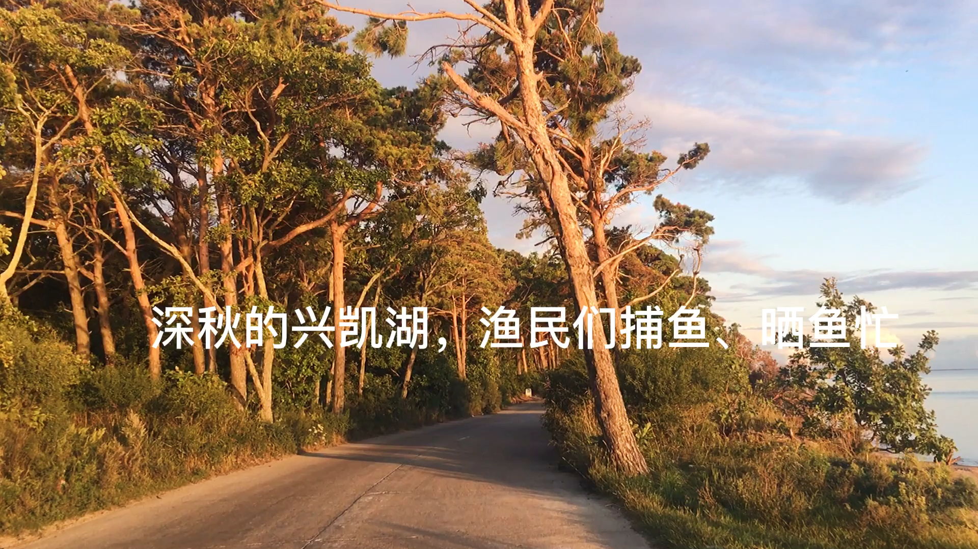 深秋的兴凯湖,渔民们捕鱼、晒鱼忙
