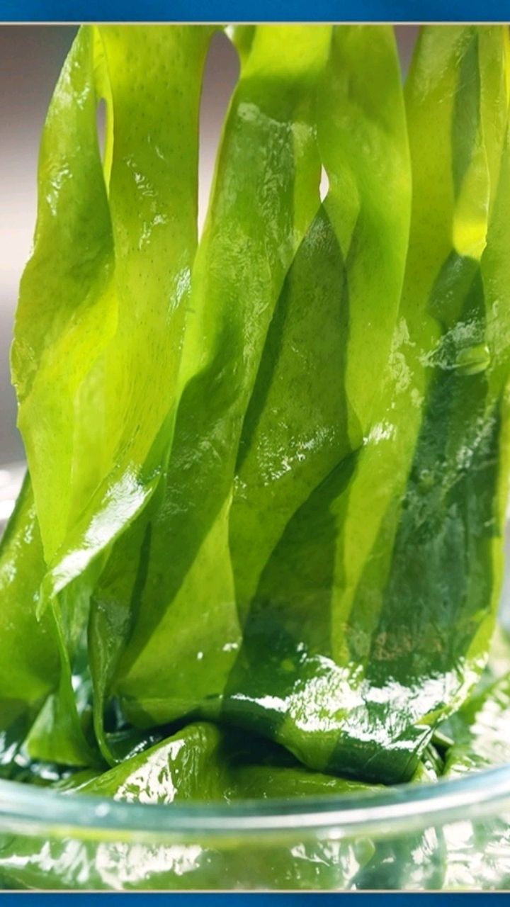 海带虽然也是海产品但它是比较特殊的食物实际它的嘌呤并不是特别多