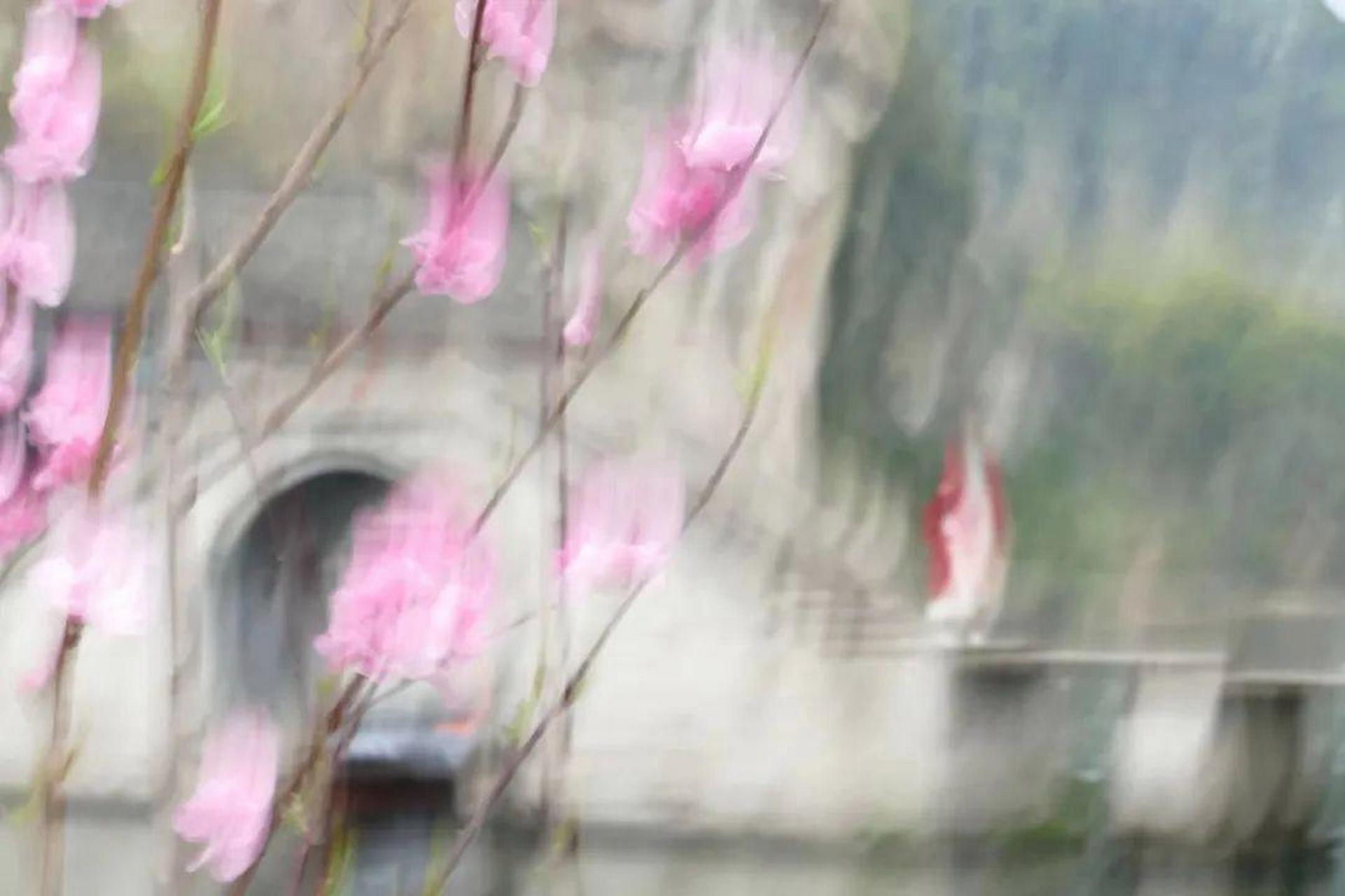 参展照片模糊不清被质疑摄影师回应拍糊作品获奖引争议,摄影师:为表现