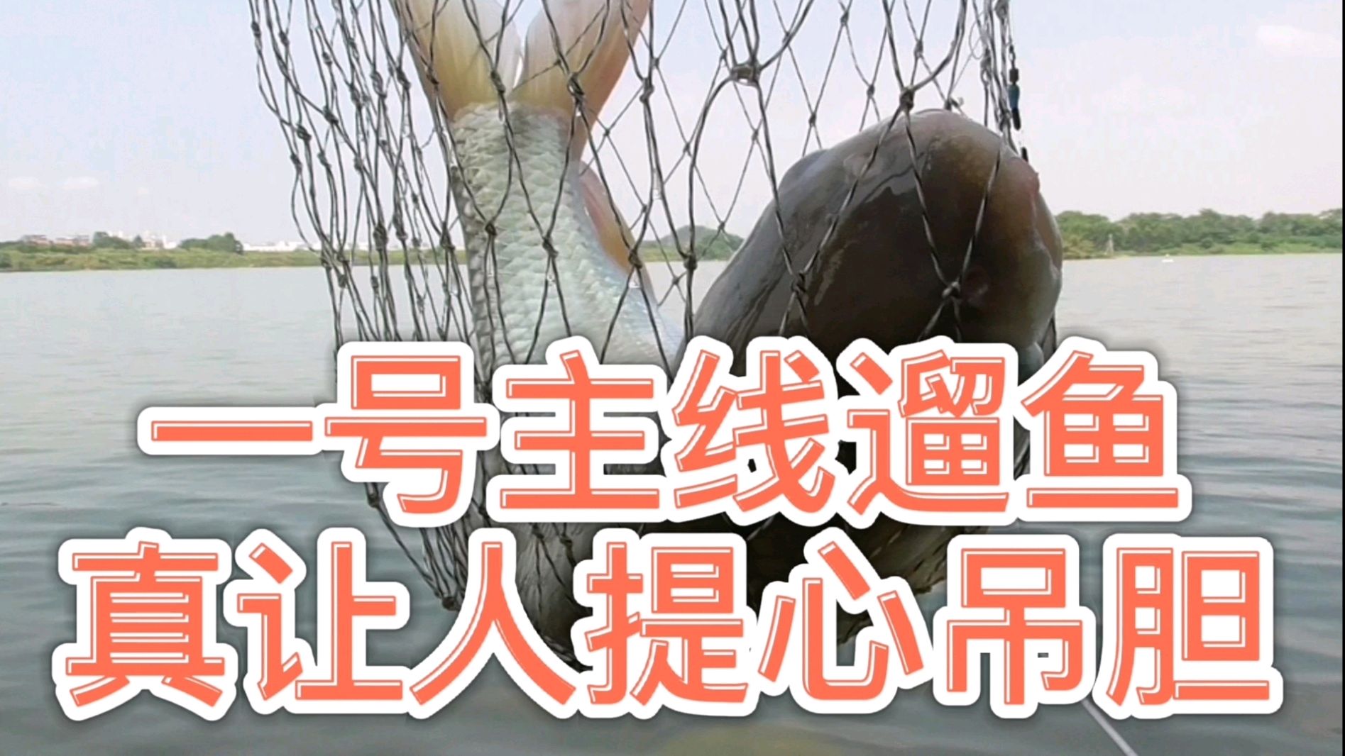 野钓:90倍高清摄影机摄录大麦鲮吃食漂相,一看视频就会抓口