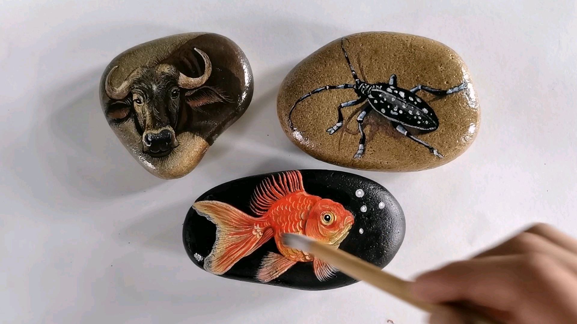石头画作品金鱼,详细讲解示范过程送给大家,建议收藏