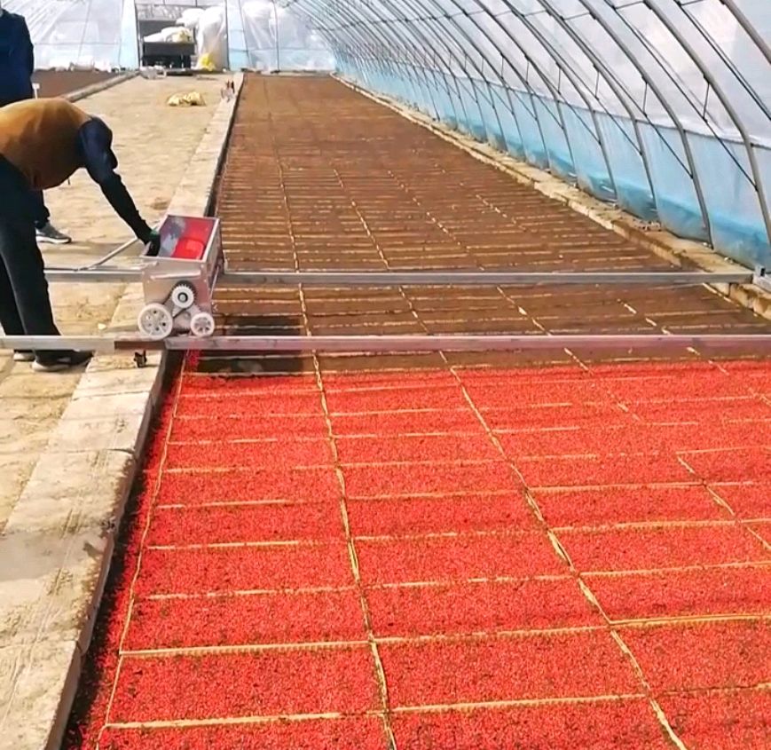 水稻干籽包衣播种育秧技术应用