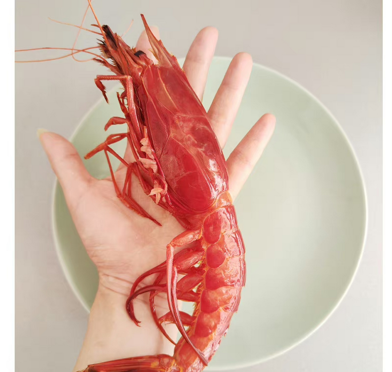 红魔虾,刺身鲜甜,煎熟脆弹,虾脑浓香,谁还没吃过,海鲜刺身.