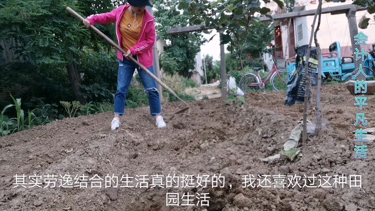 刘会计回老家做简单农家饭,下午又去地里施肥,网友:真是女超人