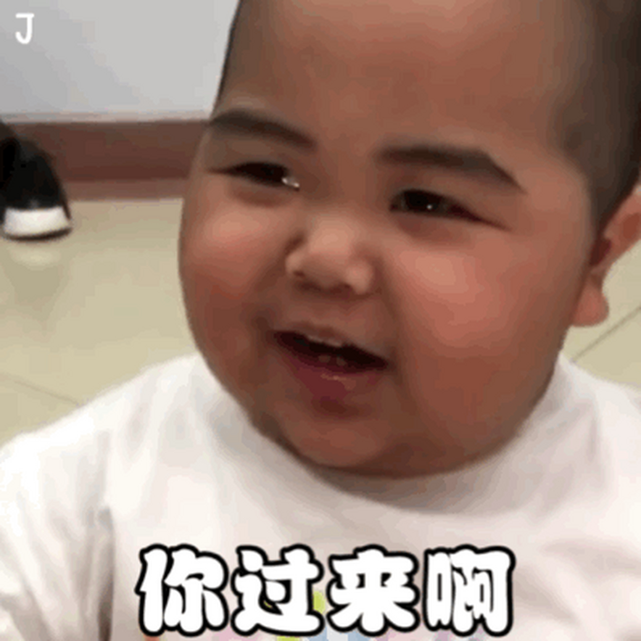 搞笑# 小胖的最新表情包来啦!