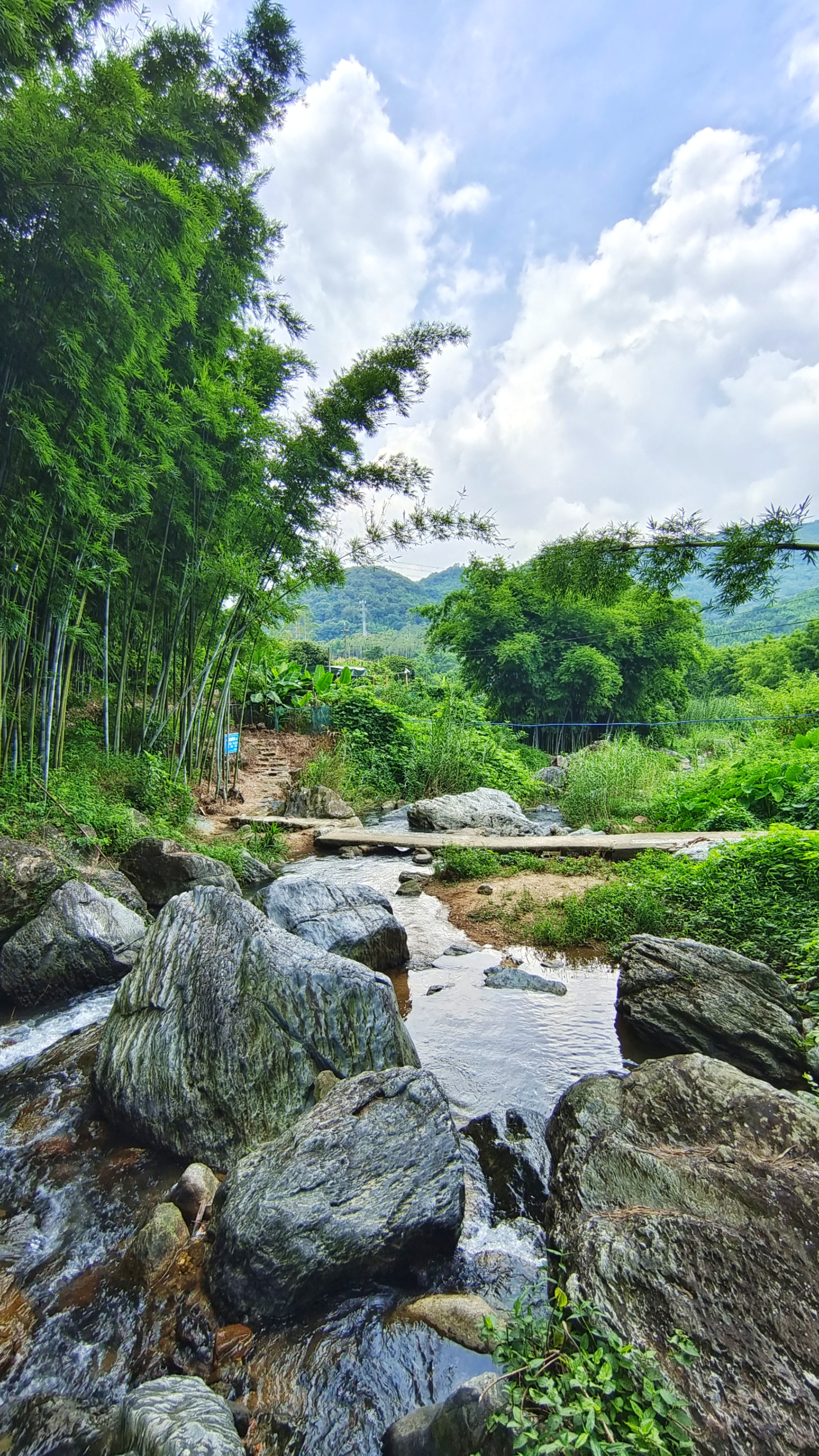 增城小溪玩水图片