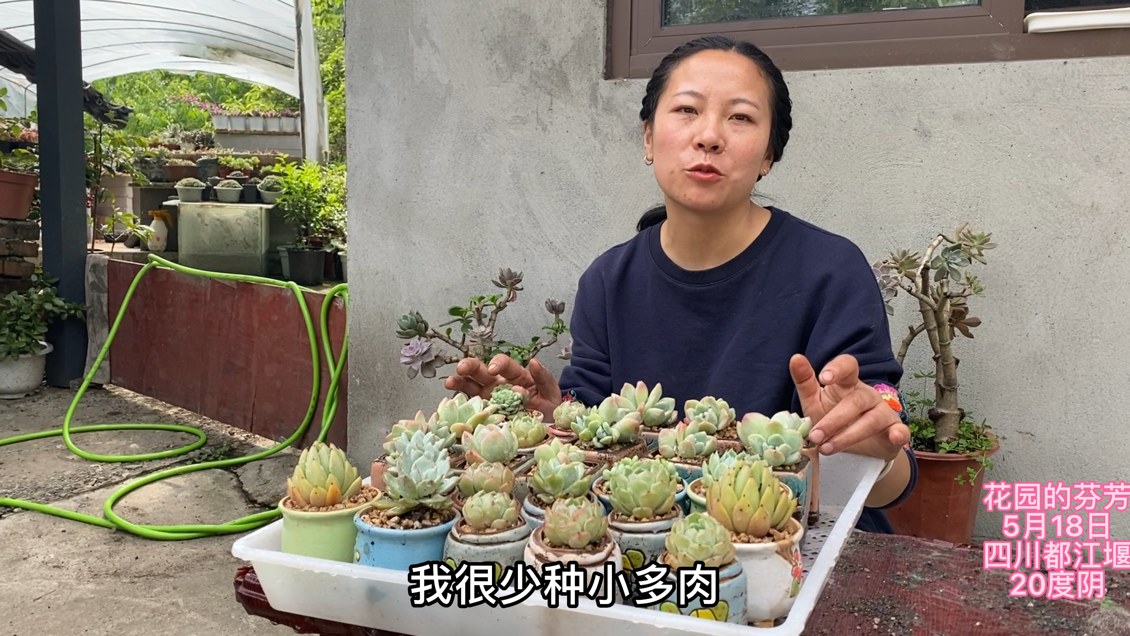 大盆多肉种腻了,今天种20多盆小贵货,居然癫狂种草了!