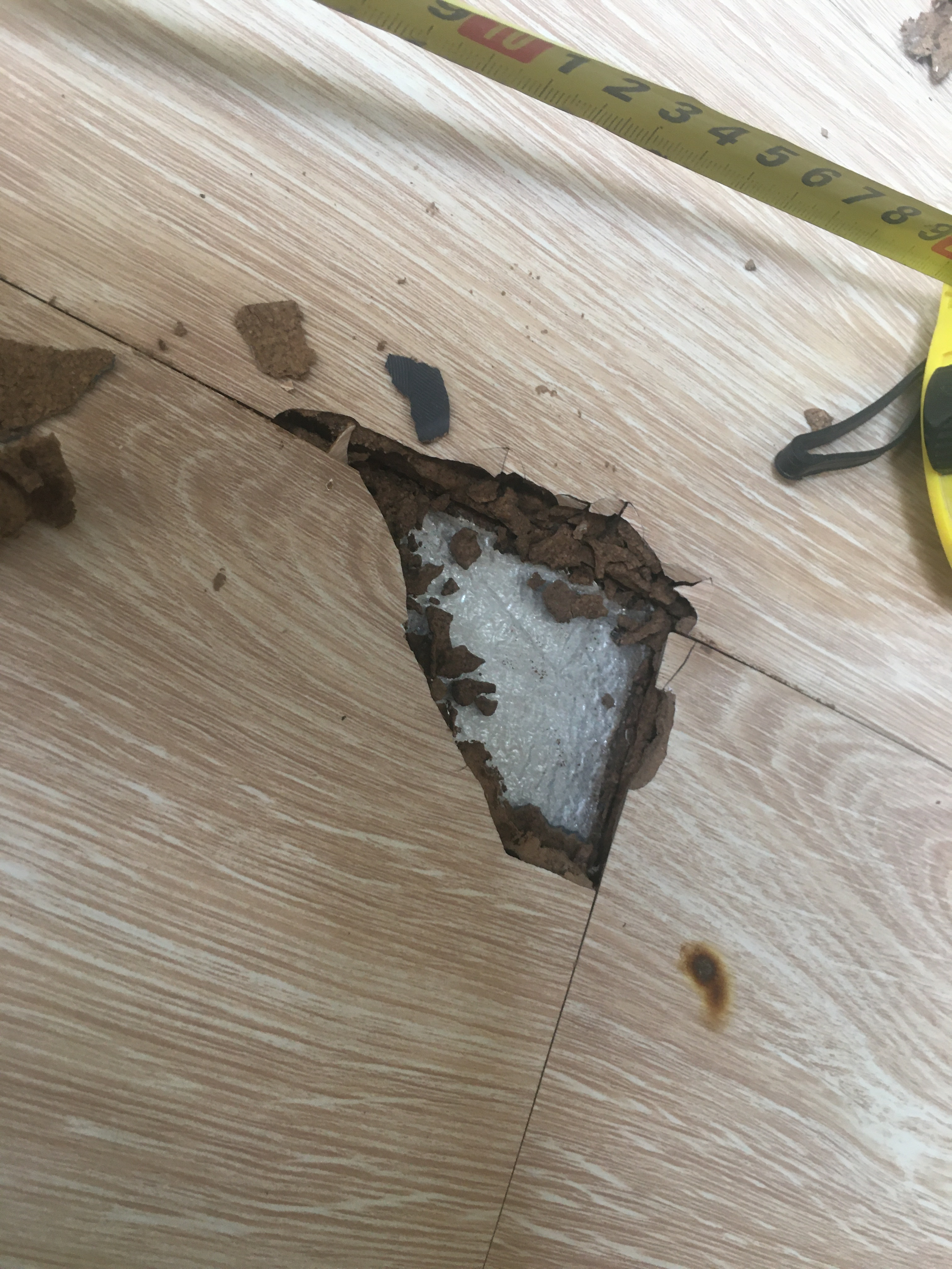 今天发现有个房间的金刚板靠窗户的位置腐烂了居然有白蚁出没估计是
