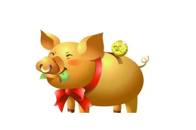 属猪的今年多大生肖猪多大?生肖猪性格分析