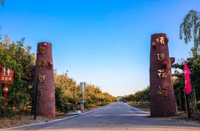 大兴庞各庄镇金秋旅游文化节本周六开幕