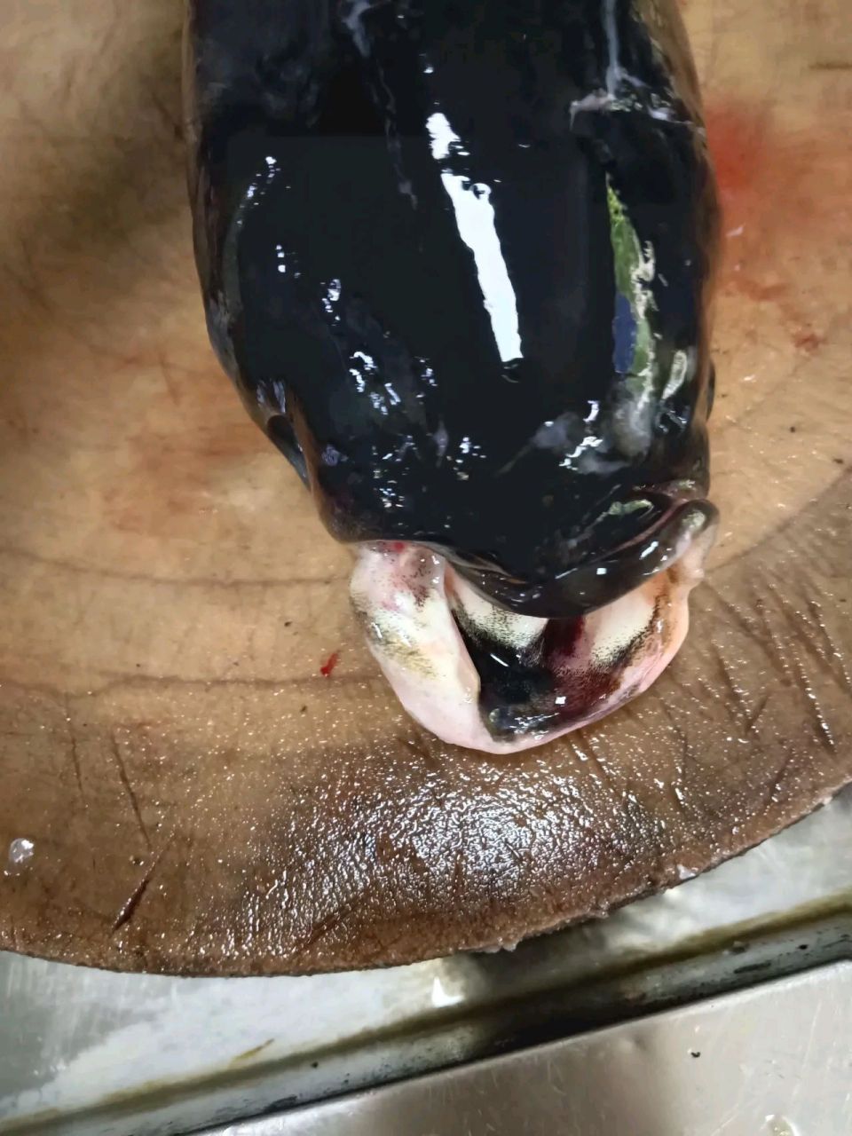 看着婆婆在菜市场买回来的歪嘴鱼,我是一点食欲都没有.