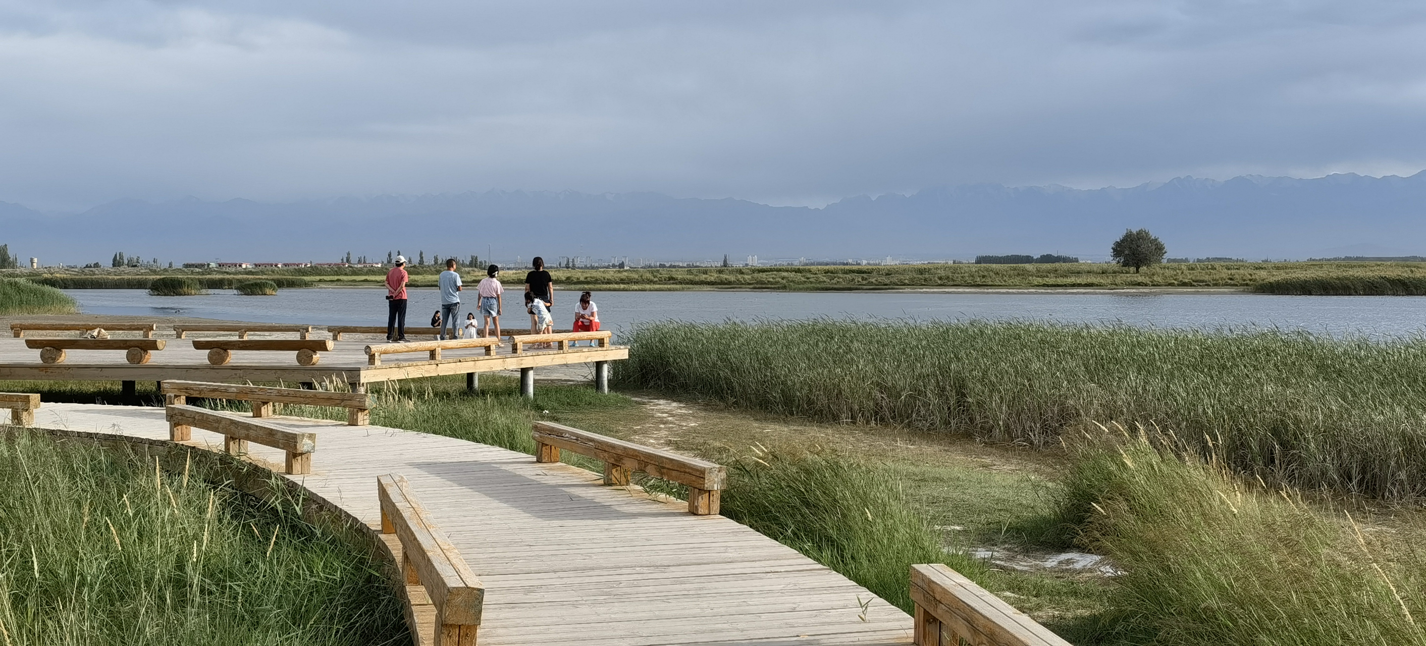 醉美酒泉—湿地公园