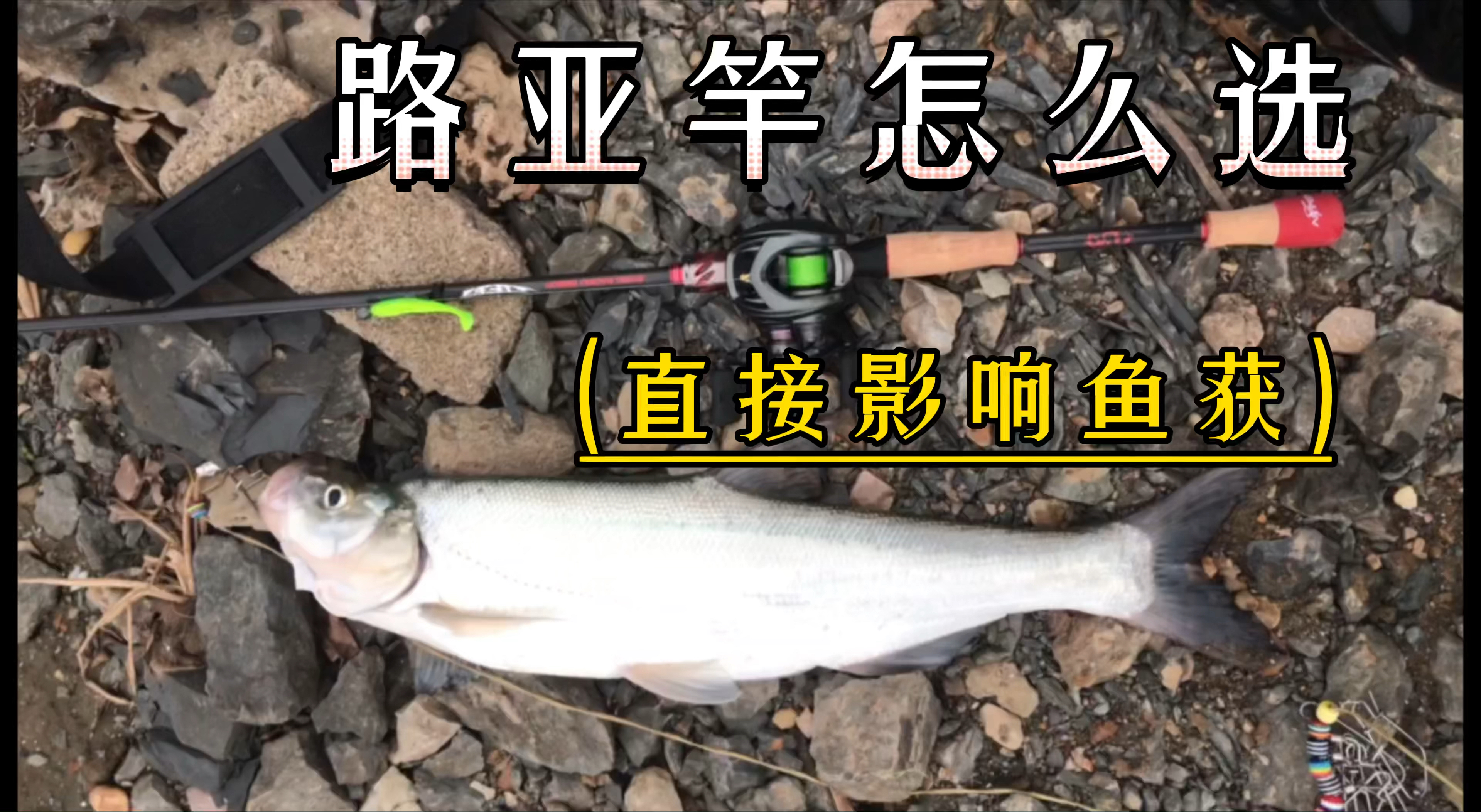 路亚竿到底该如何选择,长度直接影响你的鱼获,看完给你答案