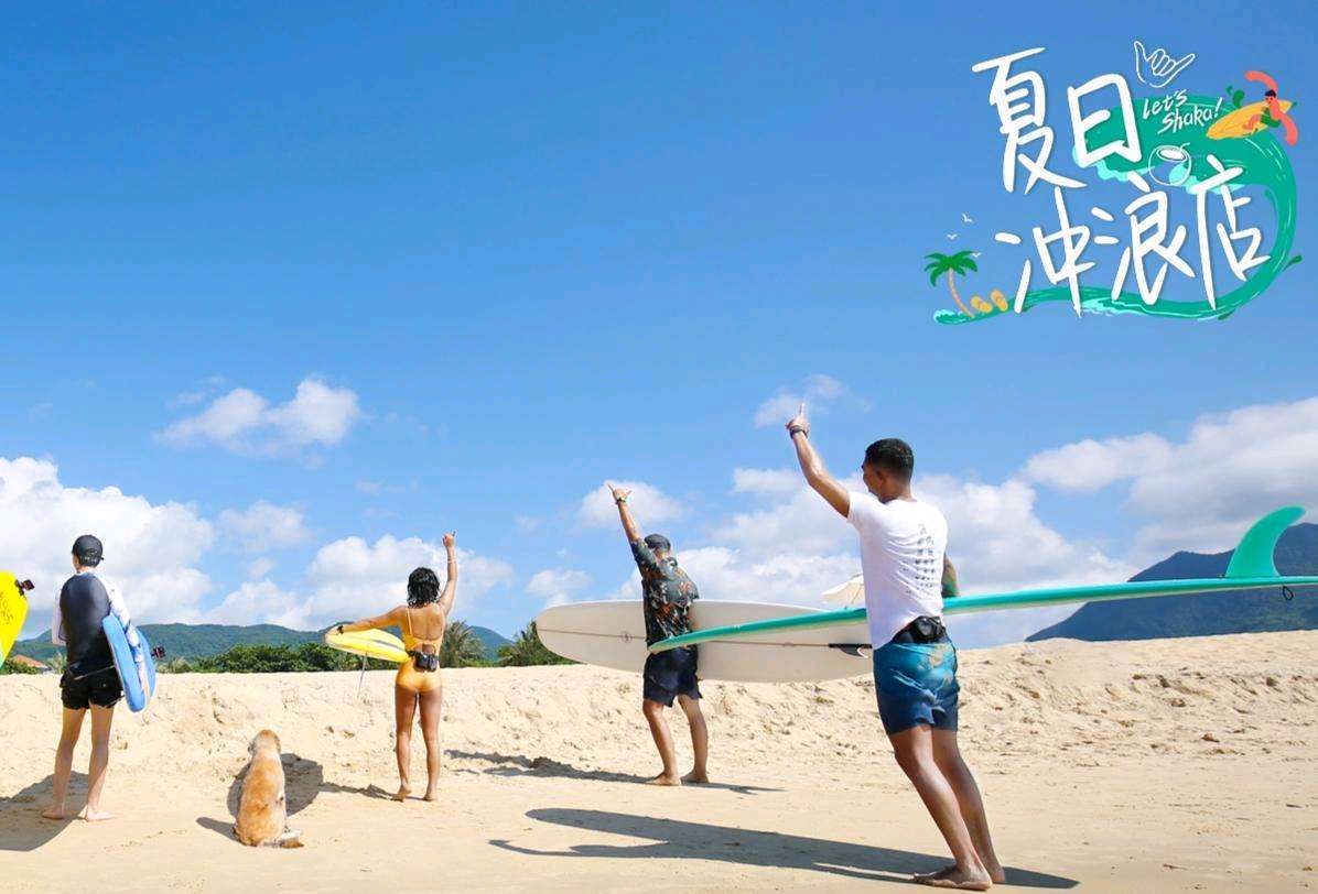 夏日冲浪店:综艺里的清流