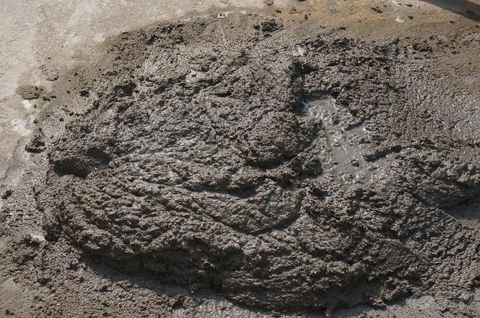 土木喜欢在说自己的事情时,习惯性带上许敏,不扯别人心里难安啊