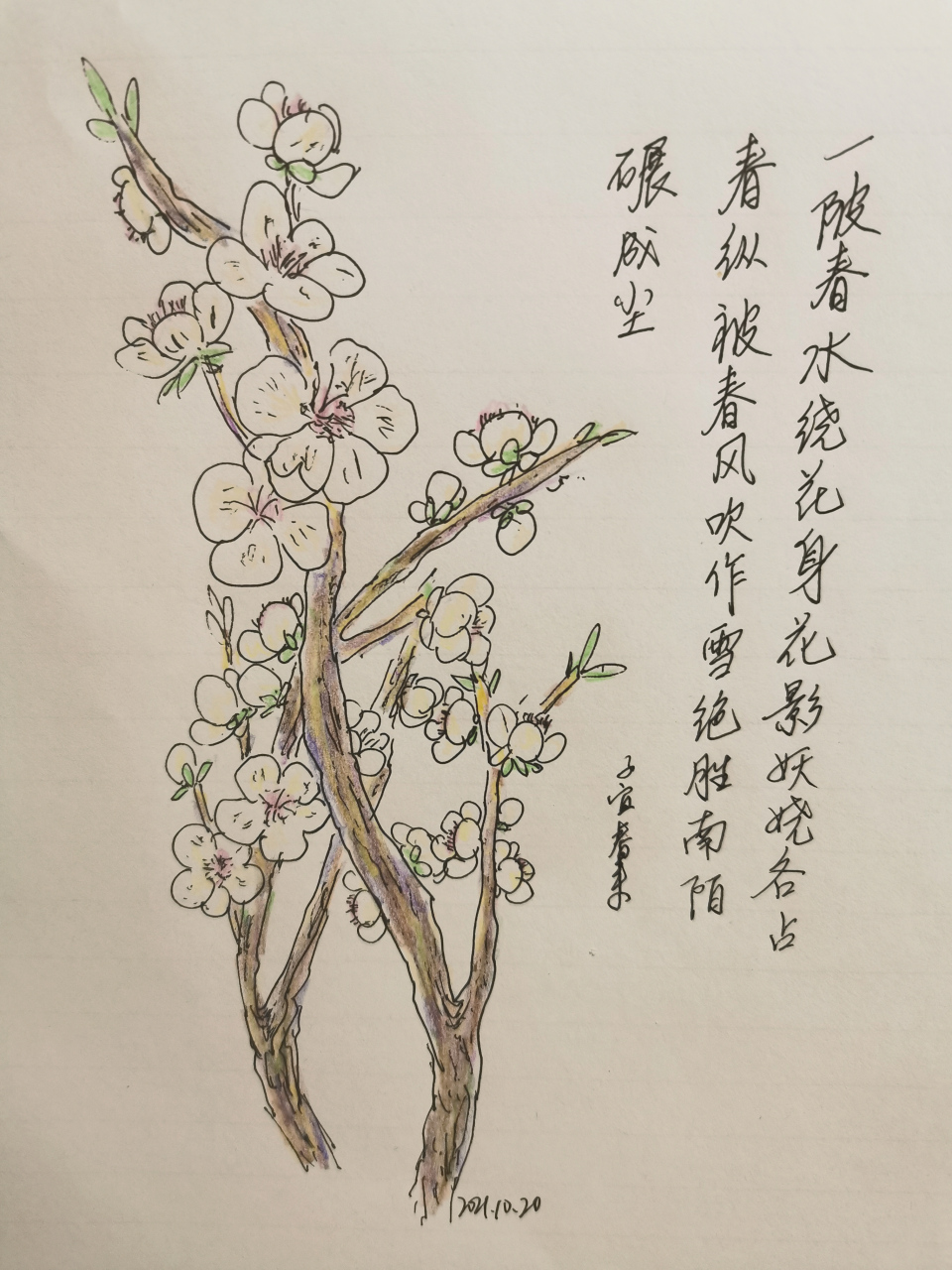 北陂杏花 宋 王安石 一陂春水绕花身,花影妖娆各占春.