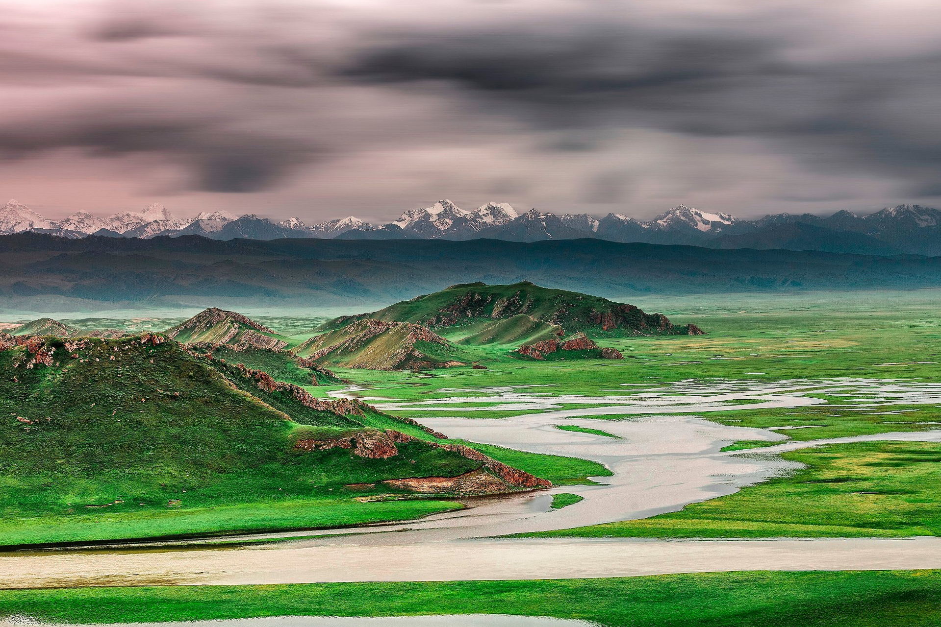 国内文旅# 【典型的禾草草甸草原,感受草原的开阔壮丽!
