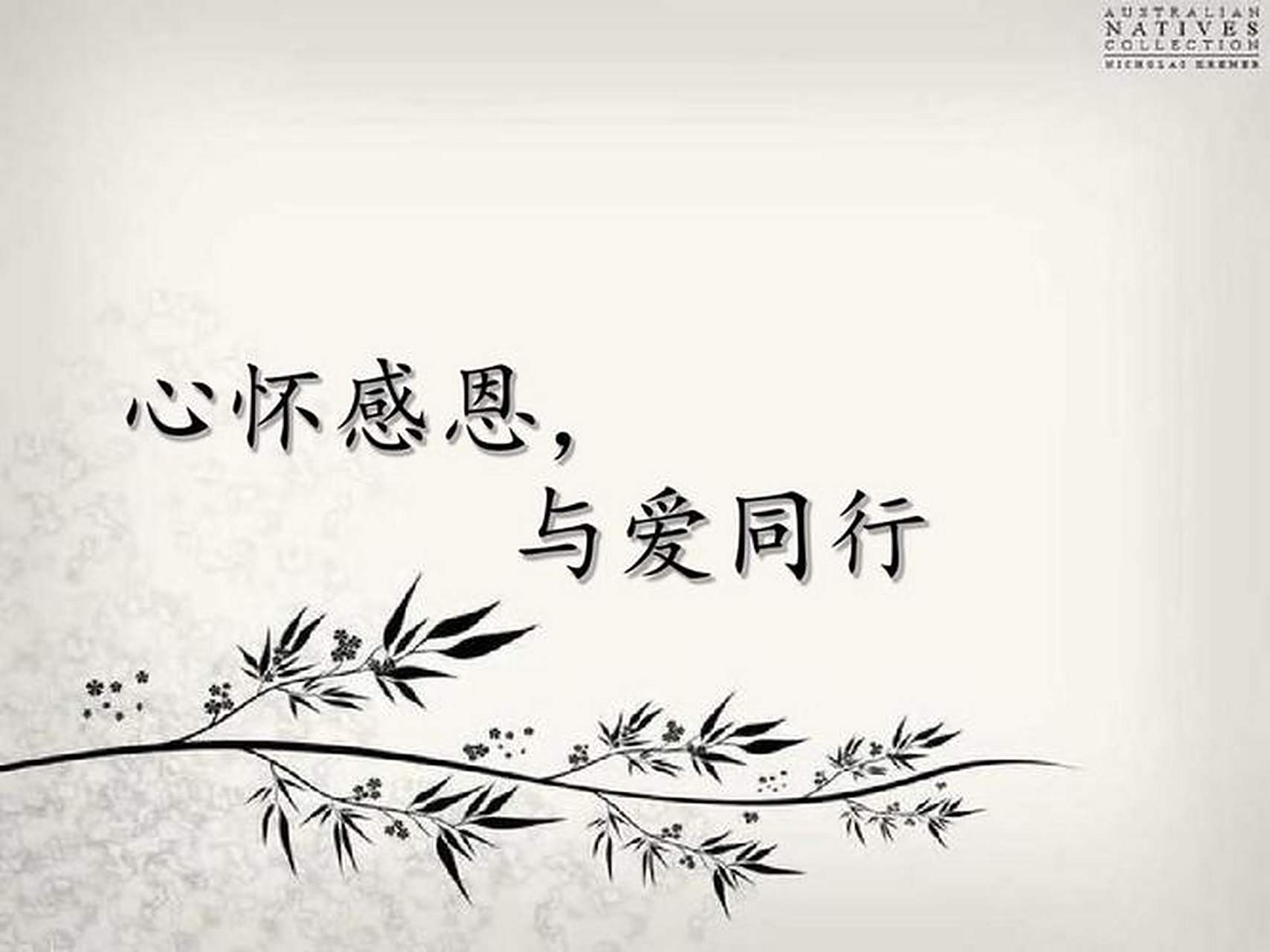 我们要学会感恩,从家庭,朋友,亲人,老师,社会到自然,每个角落都有我们