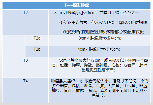 肺癌第八版图片