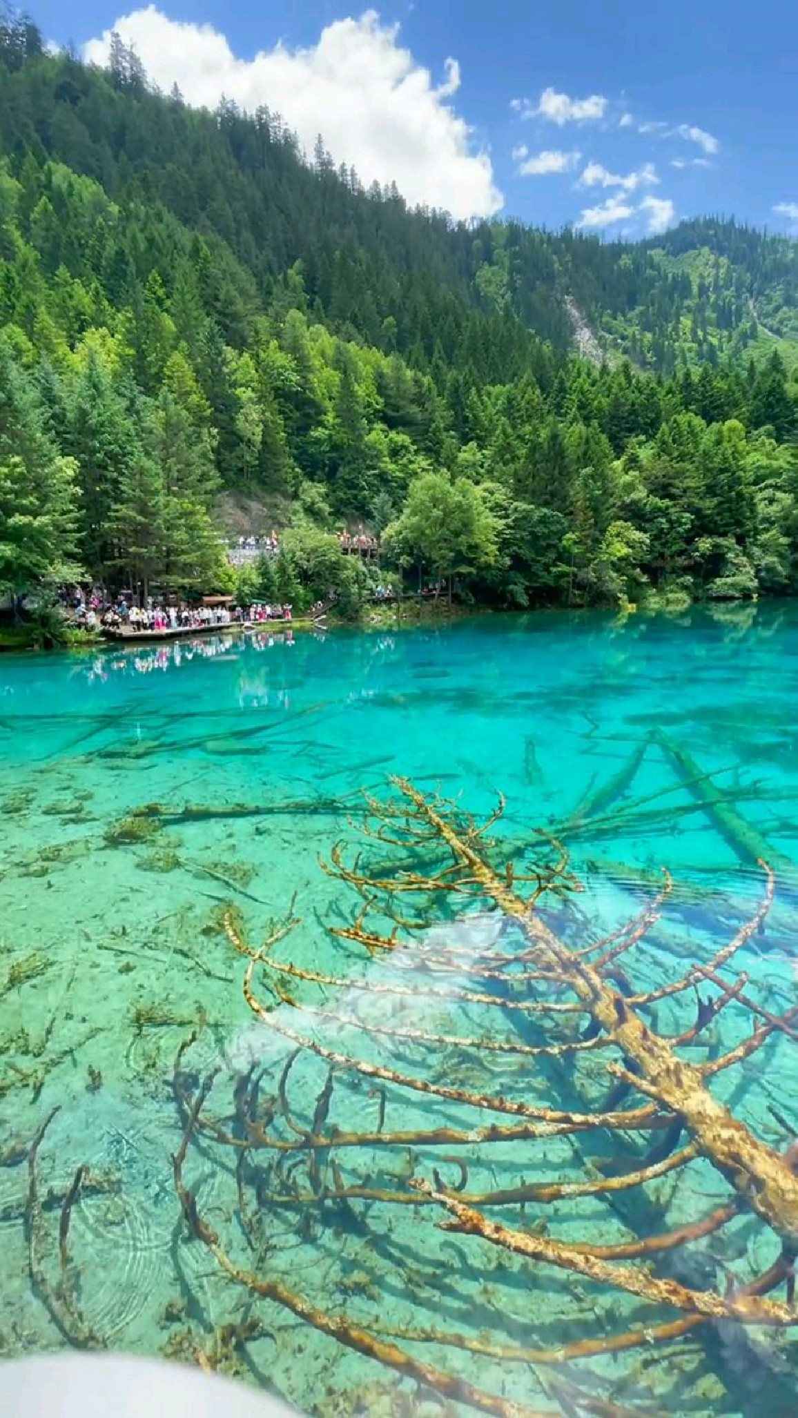 九寨沟3500米海拔 徒步景区站点公交往6小时,绕了九寨沟一圈,不愧是