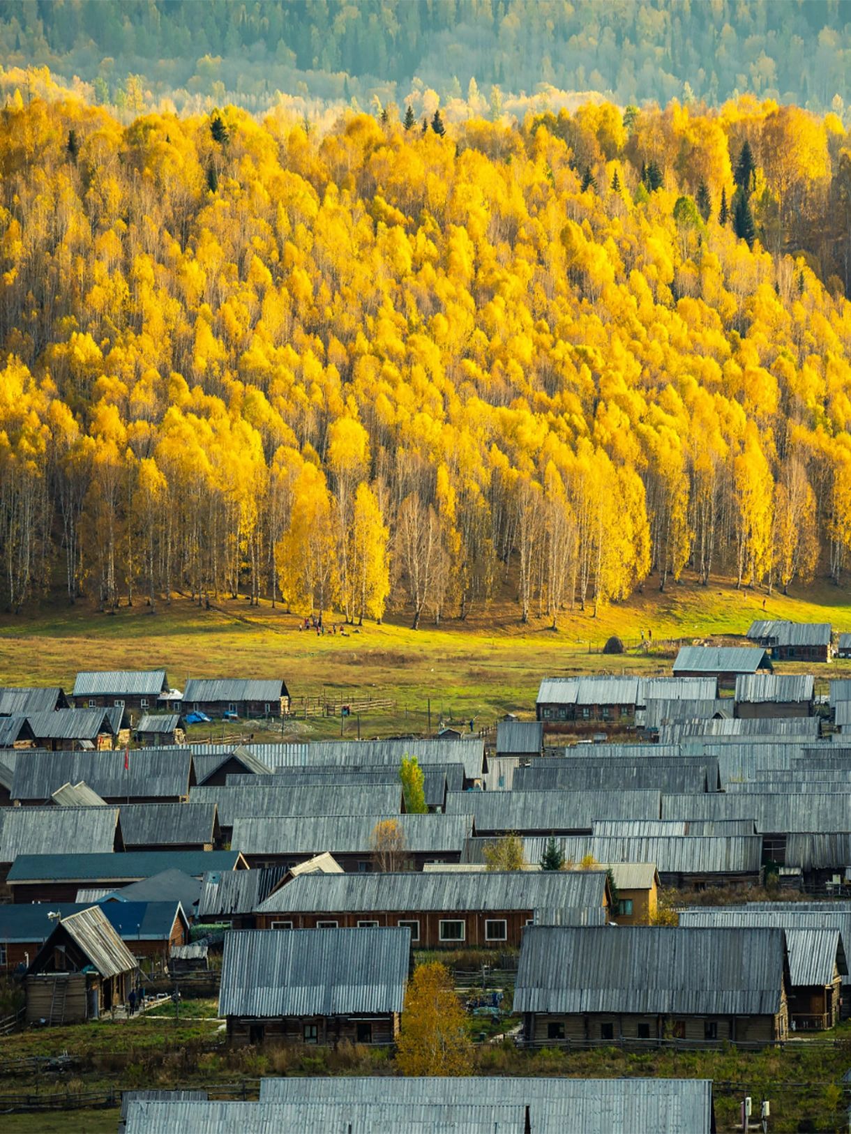 边塞风景图图片