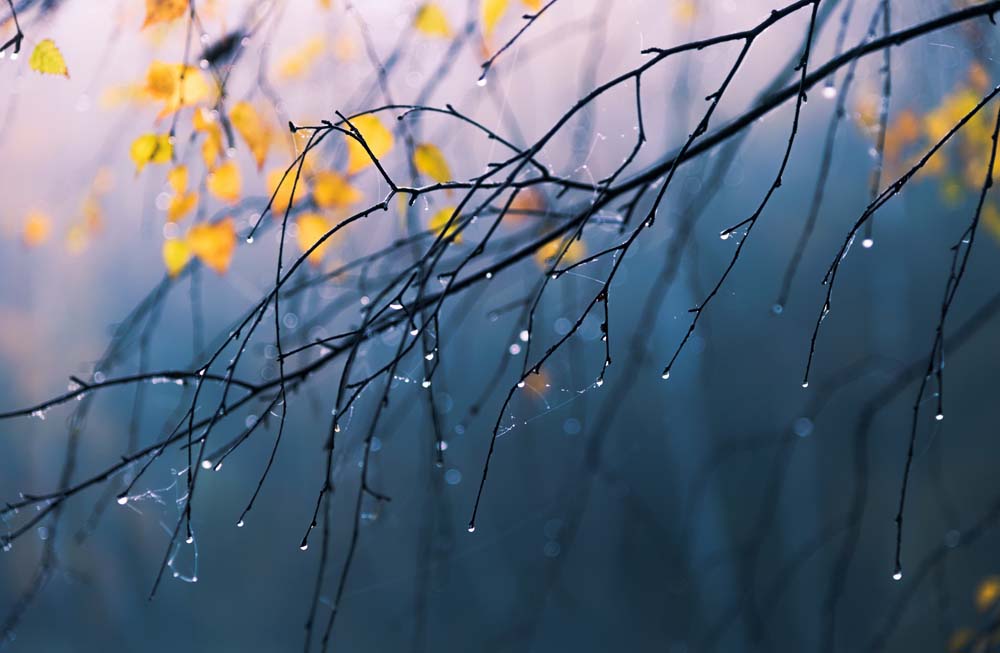 秋天雨夜图片唯美图片