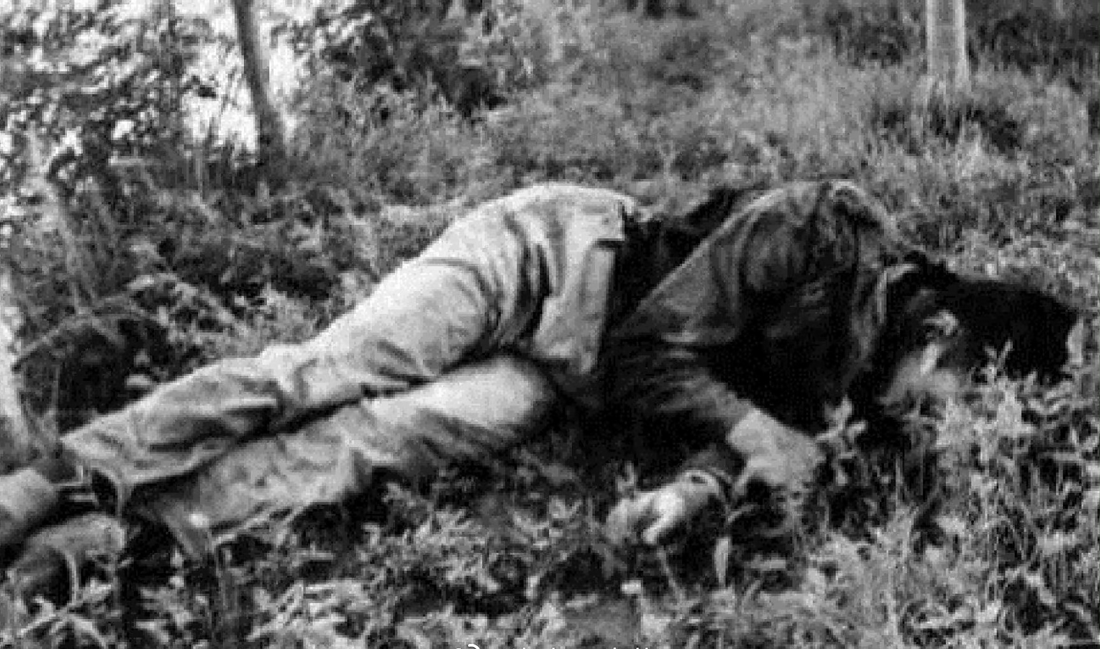 照片中这个躺在草地上的人叫王宗坊,他是连环画《追捕二王》中的其中