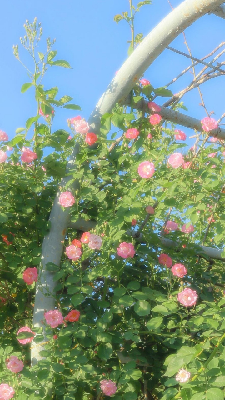 由于这	几天官府事多,暂缓交纳,乡民就暂且将银子带回,准备	还给亲戚