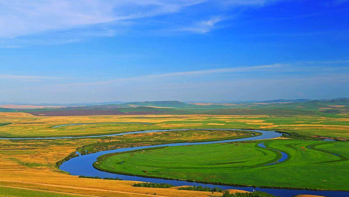 頻湖脉学–洪脉