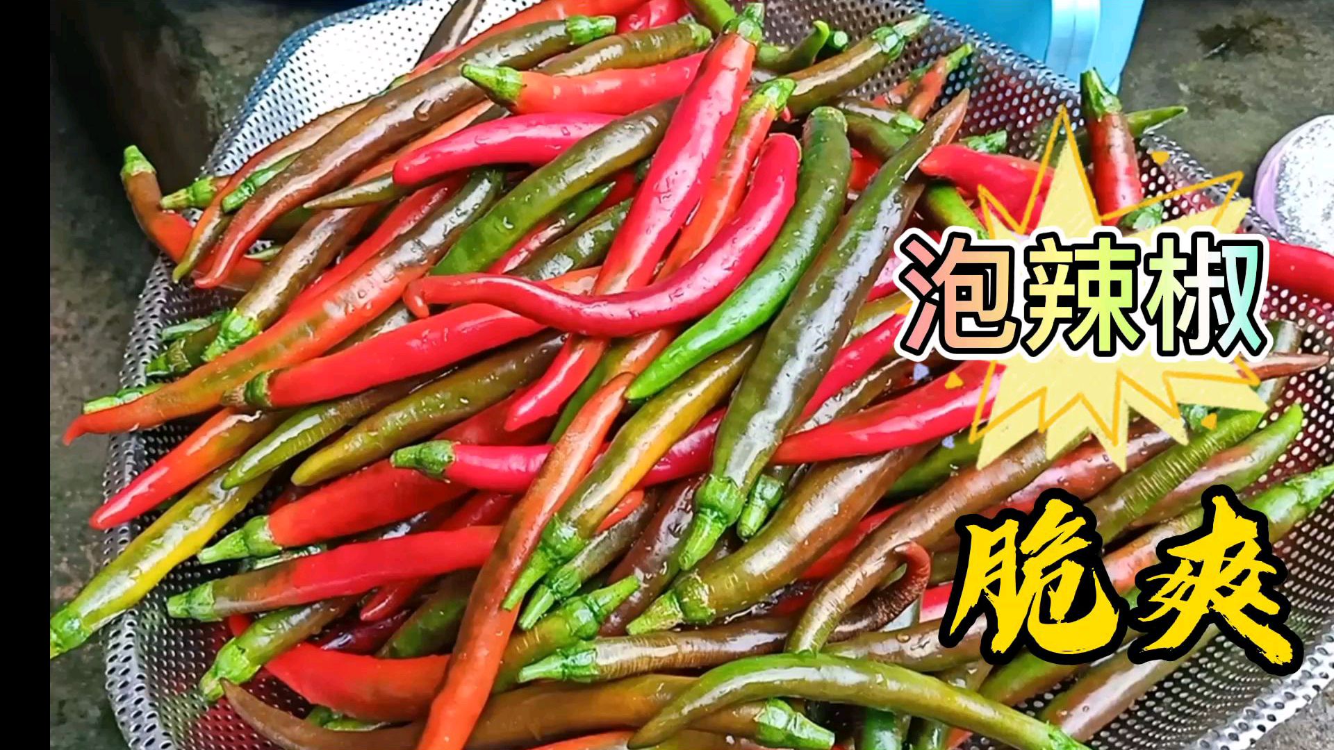 四川泡菜最简单的做法,做出来酸香脆爽,最后一片叶子成了经典